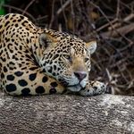 Roberta Clarke - @roberta.clarke.5 - Instagram