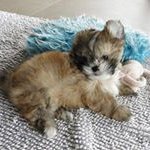 Berta Cohen - @cohen.berta - Instagram