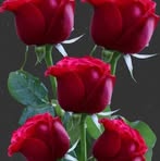 Berta Cortez - Facebook
