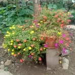 Berta Cortez - Facebook