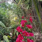 Berta Cortez - Facebook