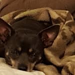 Roberta Crockett - @crockettroberta - Instagram