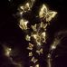Roberta Dalton - Facebook