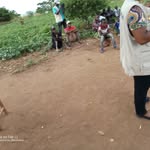 BERTA DANIEL - @bertadaniel74 - Instagram