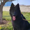 Day_With_BERTA - @day.with.berta - TikTok