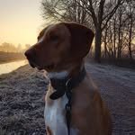 Berta Dietrich - @dietrichberi - Instagram