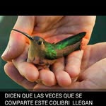 Berta Dietrich - @berta.dietrich.9 - Instagram