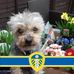 Roberta Donaldson - Facebook