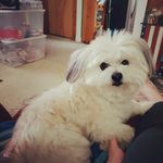 Lynn Doyle Spivey - @robertadoylespivey25 - Instagram