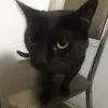 drakeberta - @drakeberta - TikTok