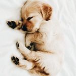 Berta Estrada - @bertaestrada42 - Instagram