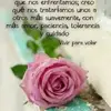 Berta Figueroa - @berta.figueroa44 - TikTok