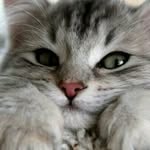 berta - @berta.fischer - Instagram