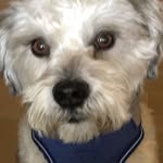 Julian Edelman Fitzgerald - @robertafitzgerald56 - Instagram
