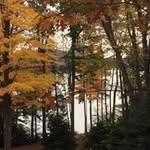 Roberta Fitzgerald - @fitzgeraldroberta - Instagram
