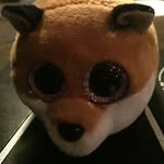 bertathefox - @berta_the_fox - Instagram