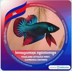 Betta Fox - Facebook