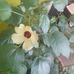 Berta Freitas - Facebook