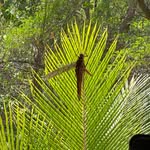 Berta Fuentes - @norma.fuentes.1800 - Instagram