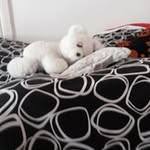 Berta Fuentes - @berta_fuentes - Instagram