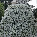 Berta Fuentes - @berta.fuentes.16 - Instagram