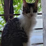 Berta de la Cruz Gallo - @bertadelacruzgallo - Instagram