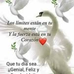Berta Galvez - @berta.galvez.5661 - Instagram