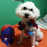 Berta Muñoz Galvez - @waltymunoz - Instagram
