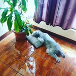 Berta Girón - @chisty_8 - Instagram