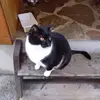 Berta Grimm - @bertagrimm - TikTok