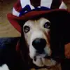Berta Guerra - @berta.guerra5 - TikTok