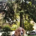 Berta Guerrero - @bertaguerrero79 - Instagram
