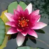 Berta Gutierrez - @berta_gutierrez - TikTok