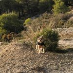 Berta Gutiérrez Padial - @bertagutierrezpadial - Instagram