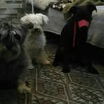 Berta Ledesma Egea - @bertaledesmaegea - Instagram