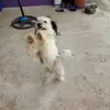Berta Mendez - @berta.mendez510 - TikTok
