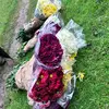 ♥️♥️Berta Mendez 🫶❤️💖 - @mendez.va - TikTok