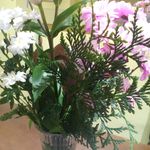 berta meyer - @bertameyer2001 - Instagram