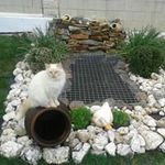 Berta Nuñez - @berta.nunez.111 - Instagram
