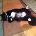 Berta M Phelps - Facebook