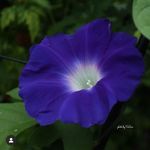Berta Reyes - @berta.reyes.56027 - Instagram