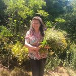 Berta Reyes - @bertaluzreyes - Instagram