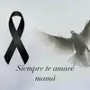 RicardoBerta Ontiveros - @ricardoberta.onti - TikTok