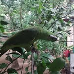 Berta Altamirano Robles - @bertaaltamiranorobles - Instagram