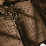 Berta Robles Comas - @berta.robles.comas - Instagram