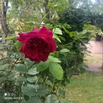 Berta Roig Juan - @bertaroigjuan - Instagram