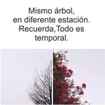 Berta Rojas - @berta.rojas.77715 - Instagram
