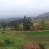bertarojas - @bertarojas980 - TikTok