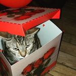 Berta Peña Roman - @berta_no_mas - Instagram
