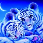 Berta Sanders - Facebook